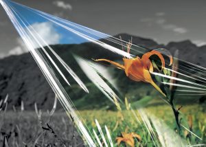 Manupackaging Manustar