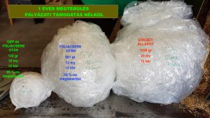 Manupackaging low profile megoldas