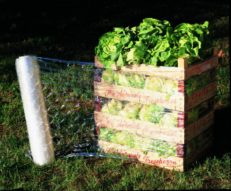 biologiailag-lebomlo-csomagoloanyagok